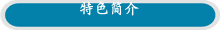 特色简介